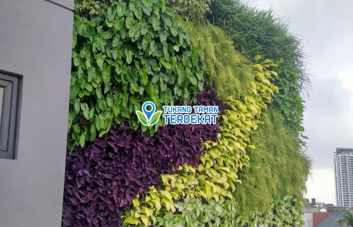 Jasa Vertical Garden Bogor