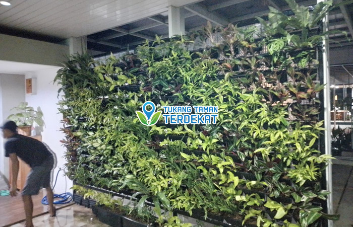 Jasa Vertical Garden BSD