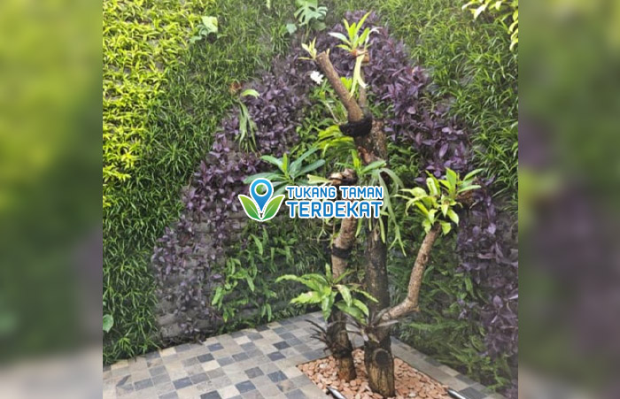 Jasa Vertical Garden Cikarang